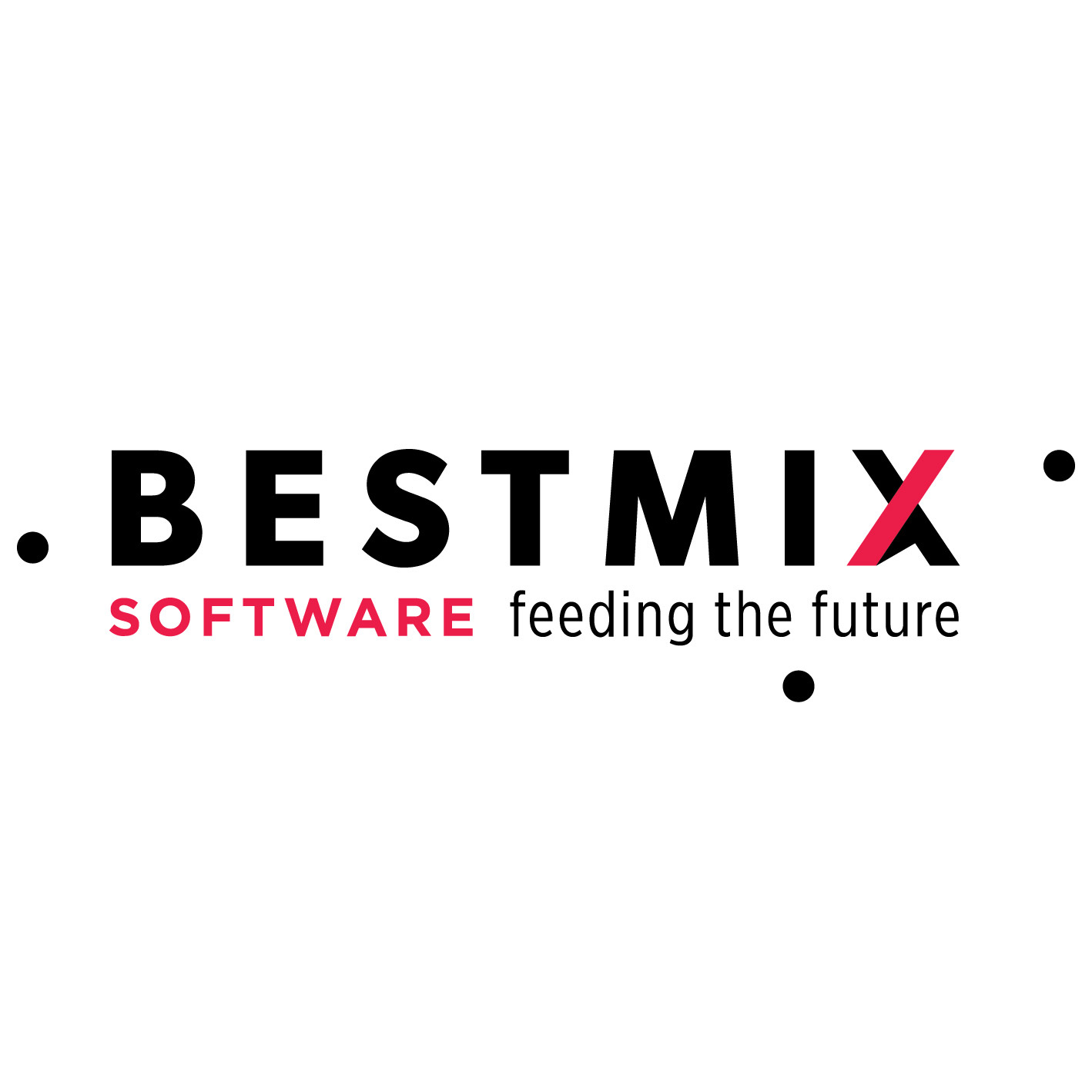 BESTMIX-Logo