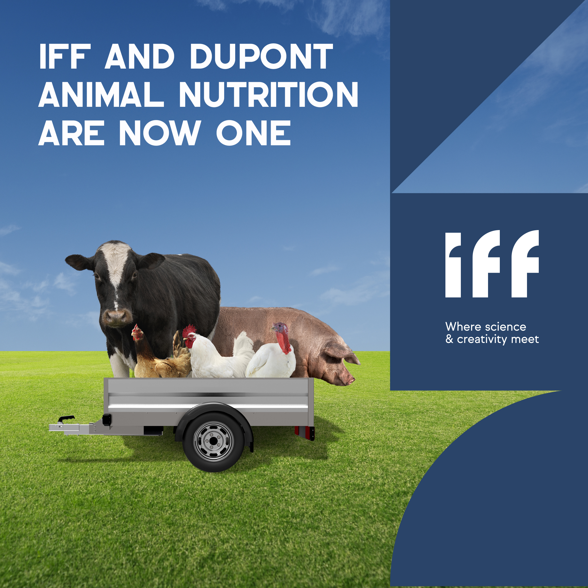 IFF Danisco Animal Nutrition & Health | Feed & Grain Buyers Guide
